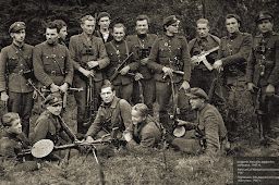 Lietuvos partizanų kovos